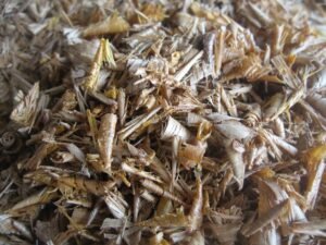 photo 2025 11 24 17 03 25 2